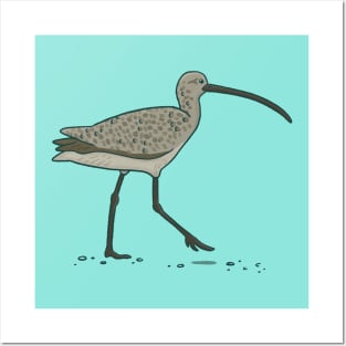 Long-billed curlew Posters and Art